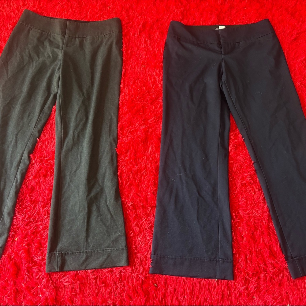equestrian stretchy pants size L lot